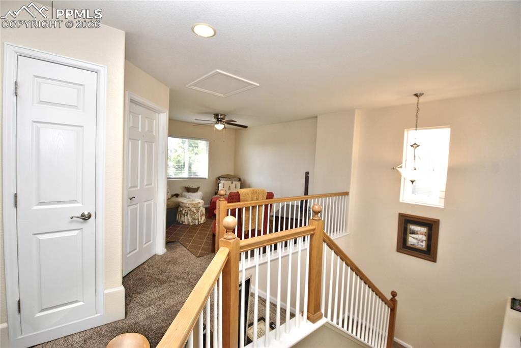 Image 12 of 29: Loft