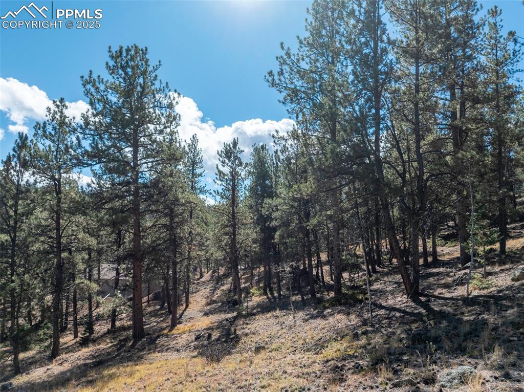 Image 13 of 14: Other