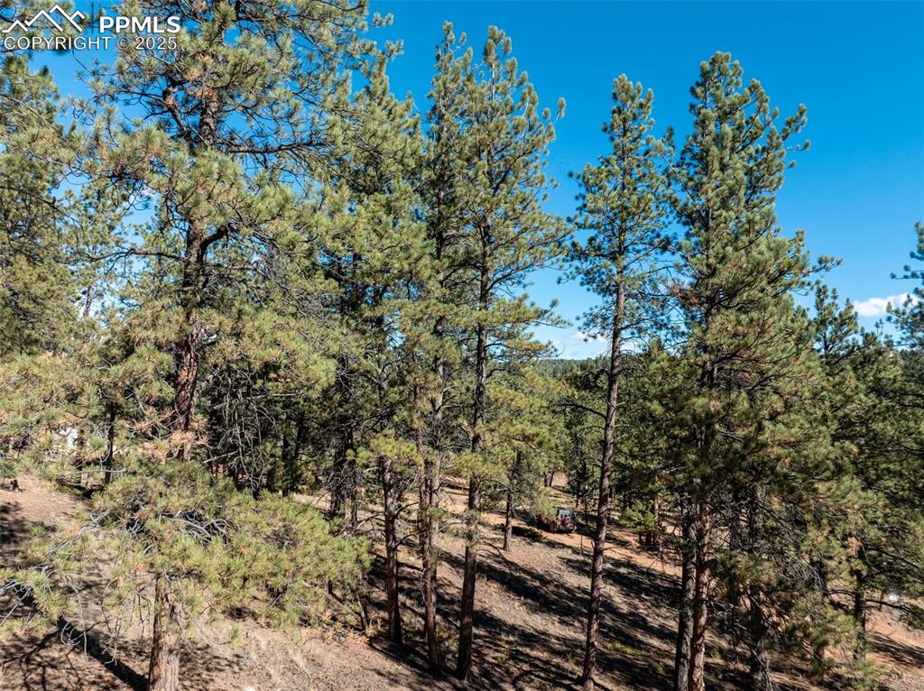 Image 14 of 14: Yard