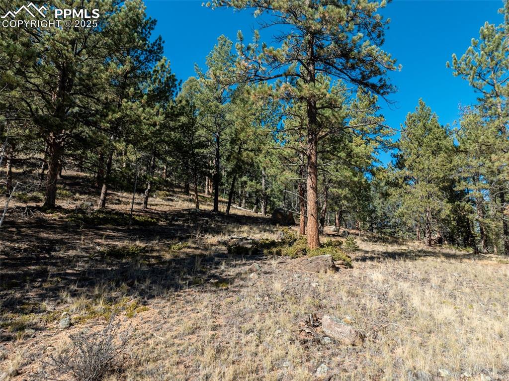 Image 6 of 14: Other