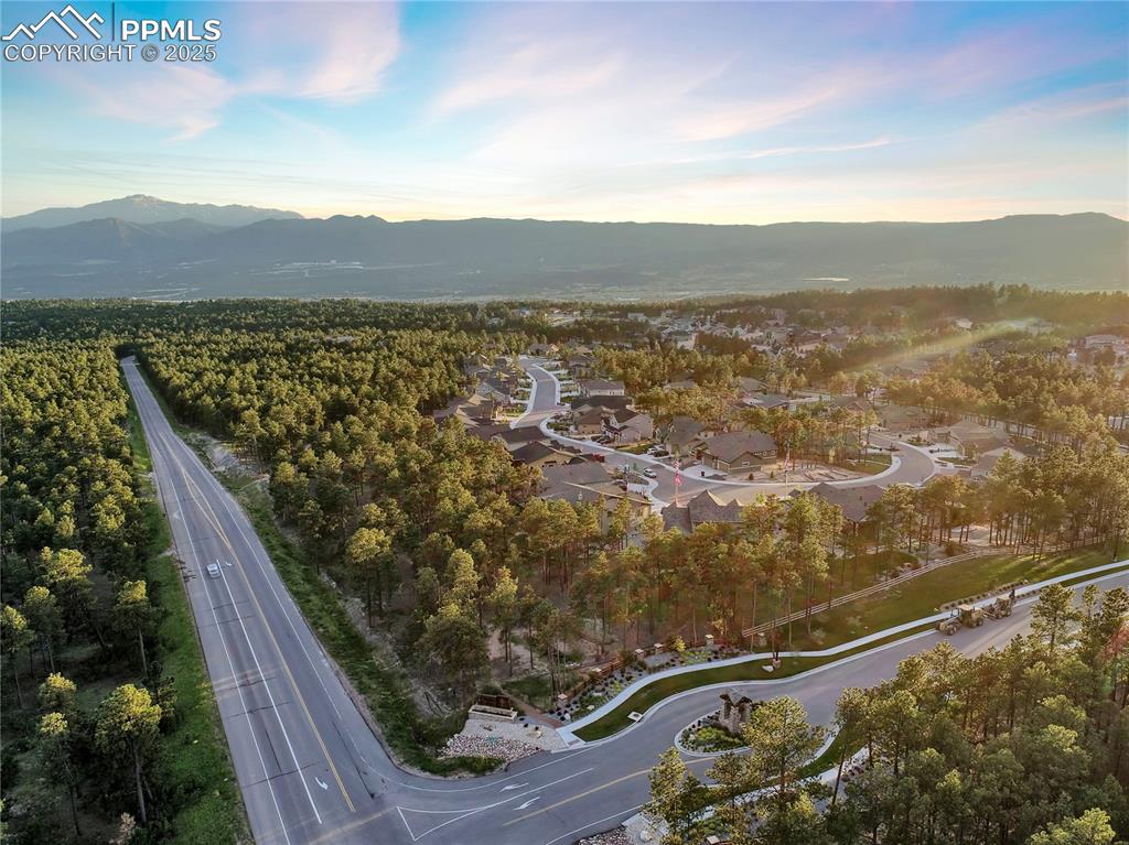 Image 47 of 50: Community