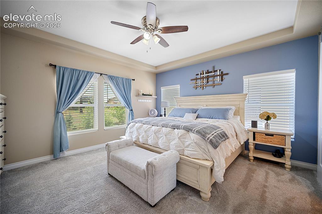 Image 19 of 49: Main level primary suite with carpet, trey ceilings and tons of natural lig