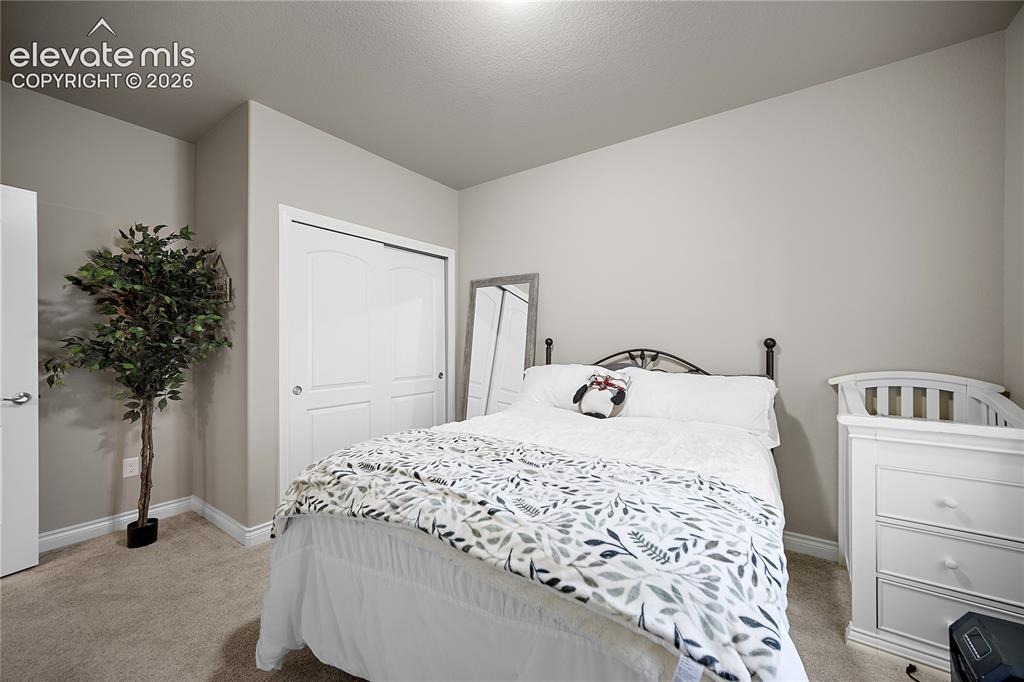 Image 34 of 49: Basement bedroom with carpet