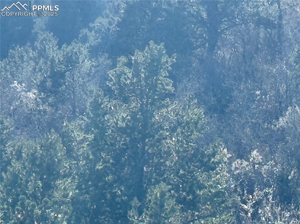 Image 4 of 14: Other