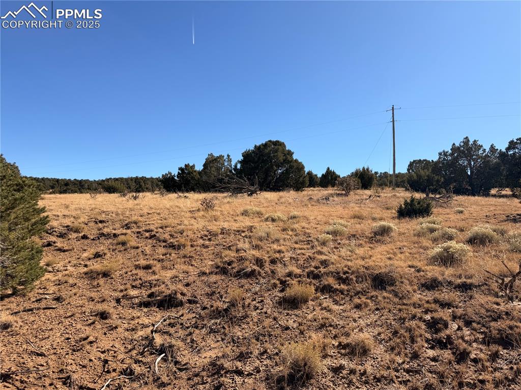 Image 10 of 12: Other