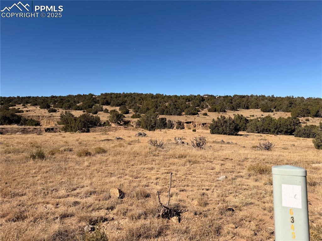 Image 3 of 12: Other