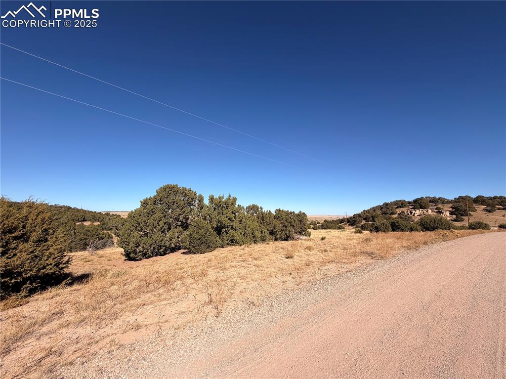 Image 4 of 12: Other