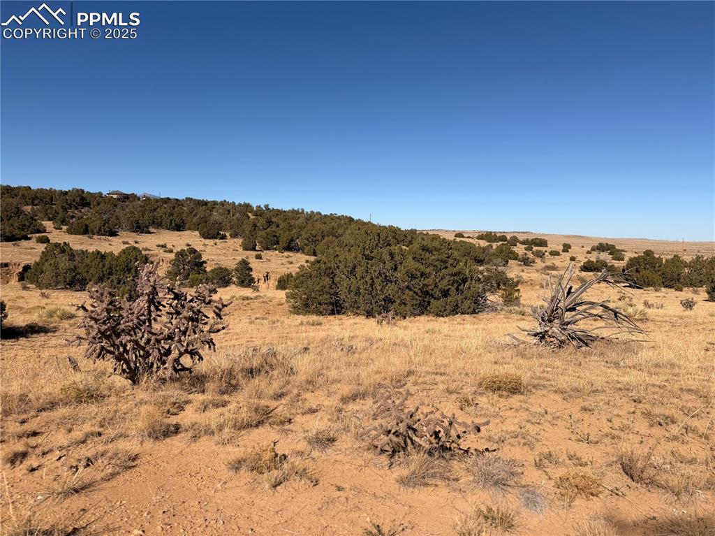 Image 5 of 12: Other