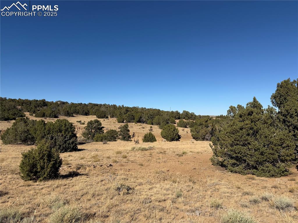 Image 8 of 12: Other