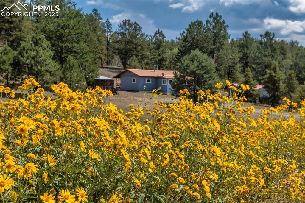 Caption: Rustic Mountain Cabin on a one acre fenced lot in the Wagon Tongue Lake and Fishing Community in Flo