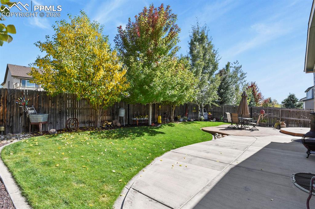 Image 16 of 43: Yard