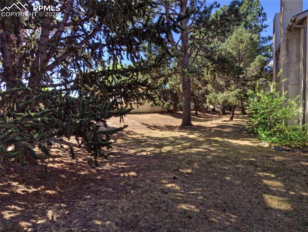 Image 29 of 33: Yard