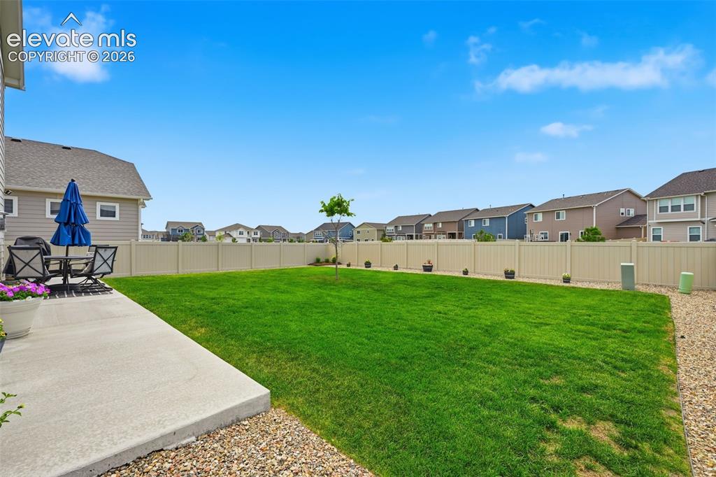 Image 9 of 37: Yard
