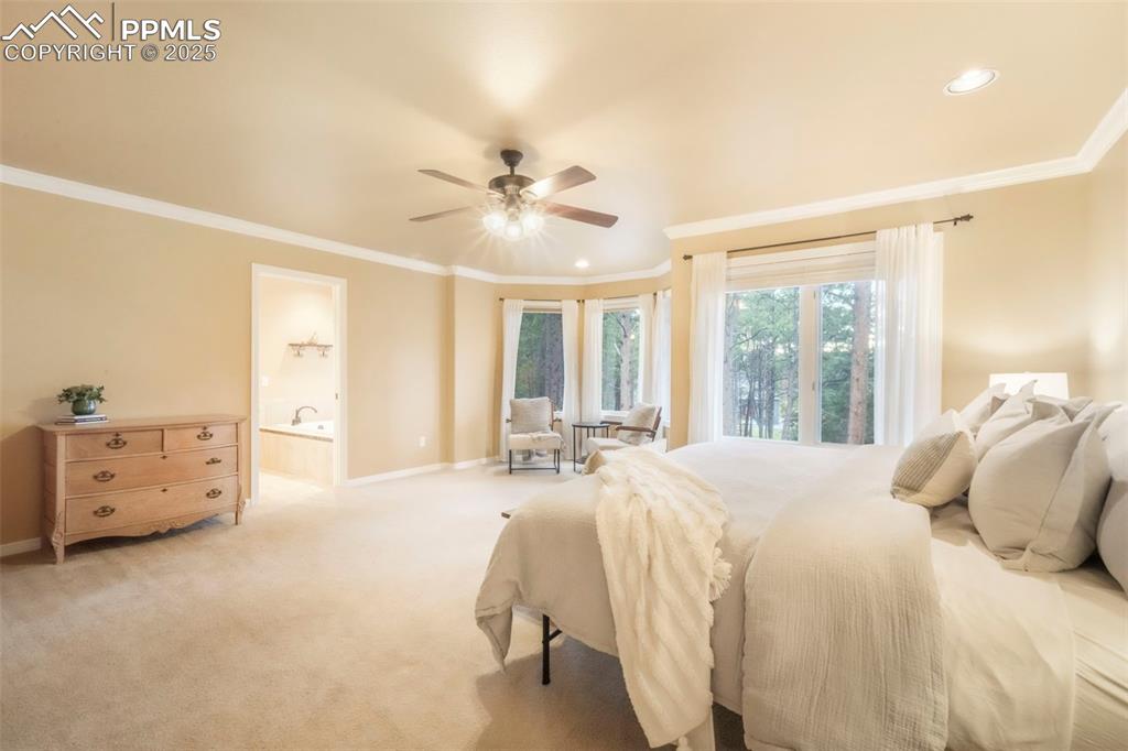 Image 21 of 50: Master Bedroom
