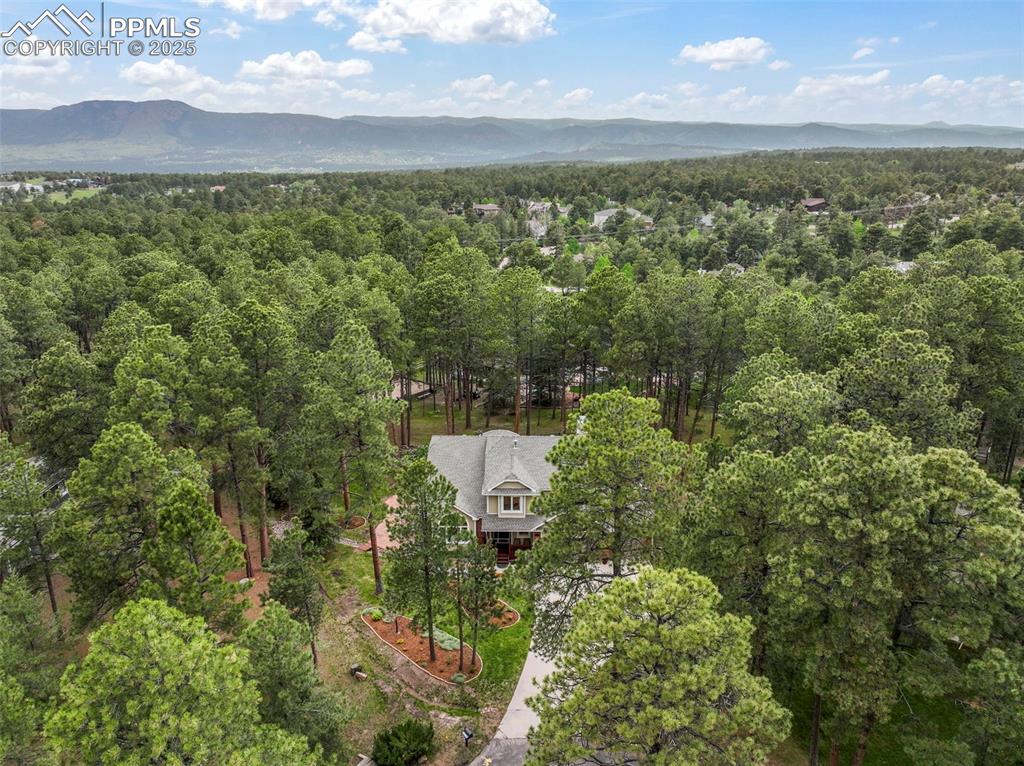 Image 48 of 50: Aerial View