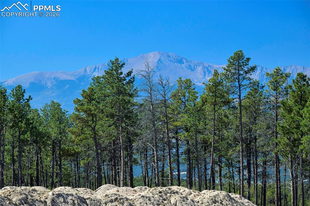 Image 49 of 50: View