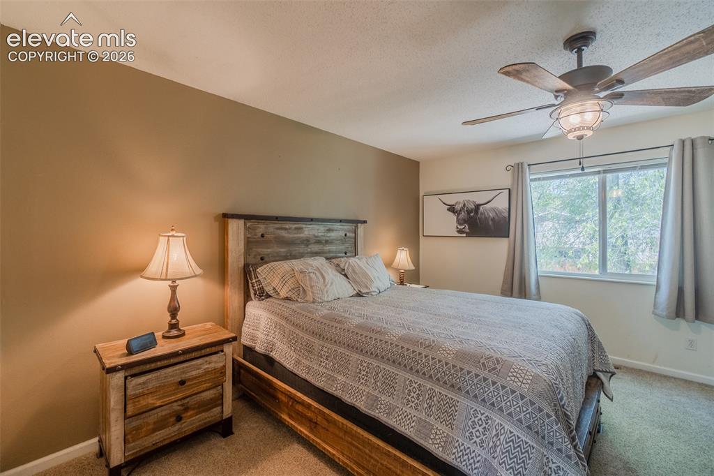 Image 23 of 30: Primary Bedroom featuring warm-toned walls and view to the backyard with es