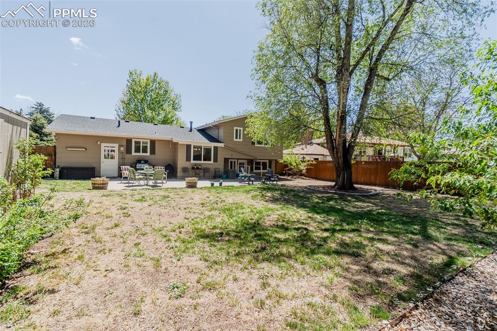 Image 30 of 31: Expansive backyard featuring a large tree, a privacy fence, and a concrete 