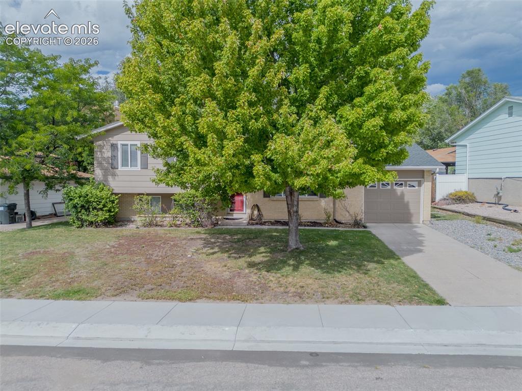 Image 36 of 42: Neutral-toned exterior with a prominent green tree, an attached garage, and