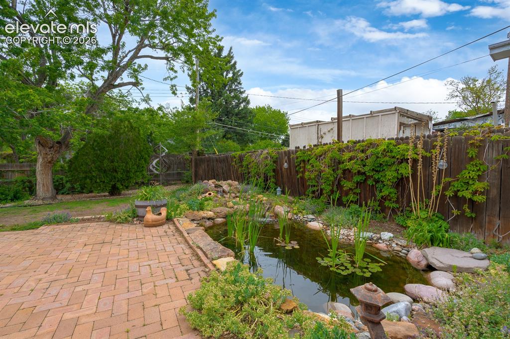 Image 5 of 31: Koi Pond with Fish