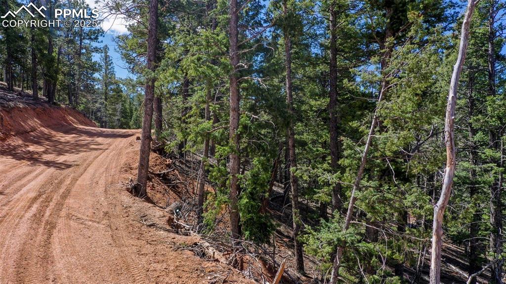 Image 41 of 44: Community