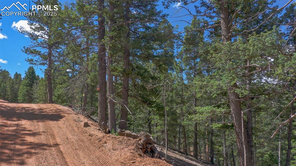 Image 42 of 44: Community