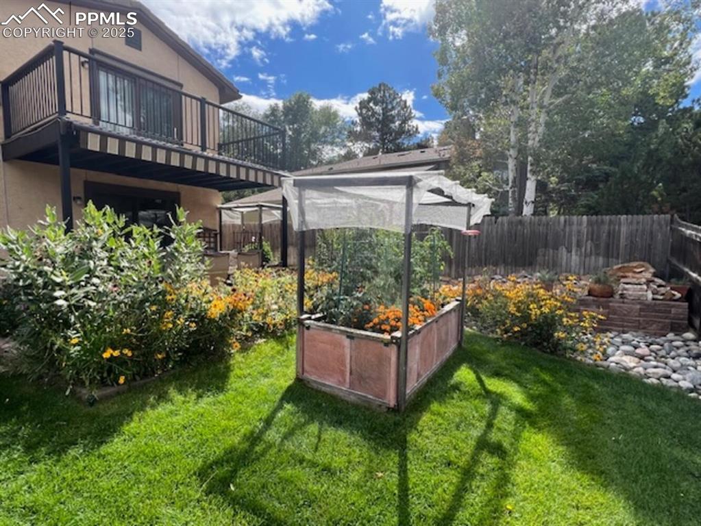 Image 42 of 48: Summer Yard
