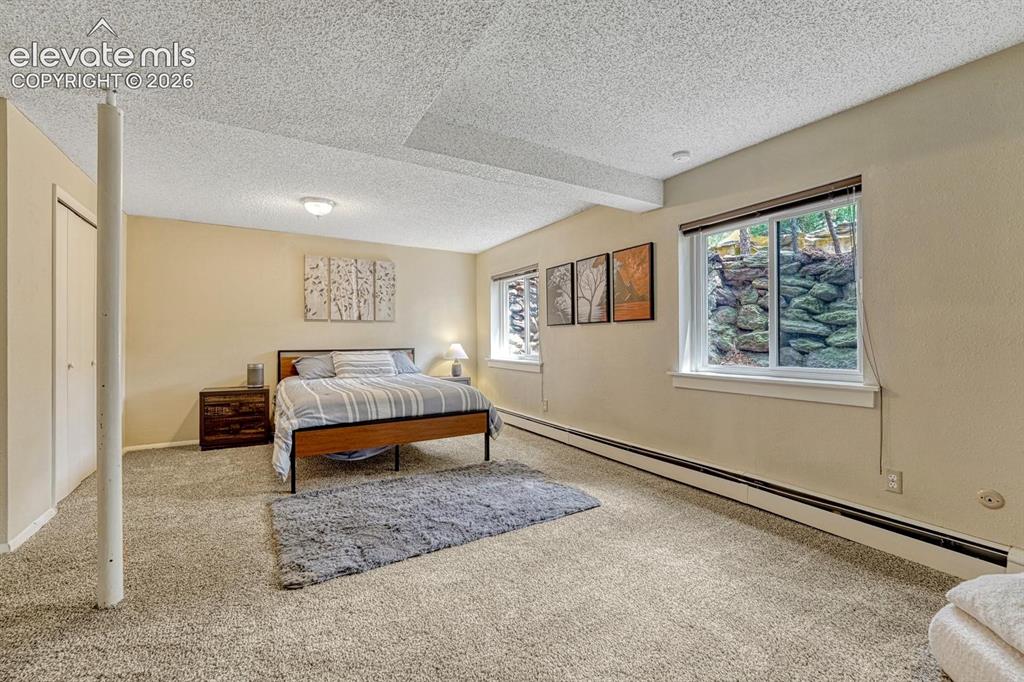 Image 20 of 48: Carpeted room with multiple windows, featuring light beige walls