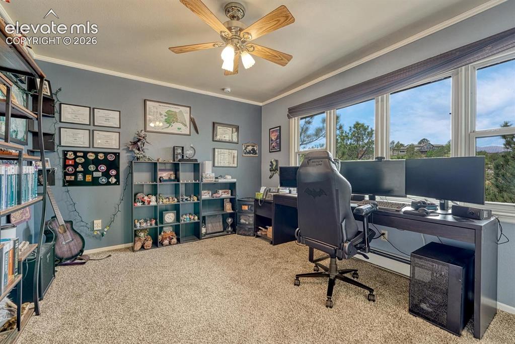 Image 22 of 48: Room featuring a broad window-line, blue wall paint, white trim, and a ceil