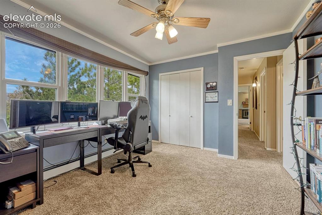 Image 23 of 48: Room featuring a broad window-line, blue wall paint, white trim, and a ceil