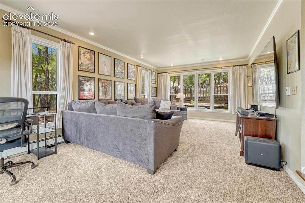Image 4 of 48: With natural light from multiple large windows, neutral carpeting, crown mo