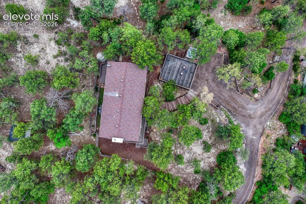 Image 41 of 48: Property featuring a shingle roof and surrounding mature trees