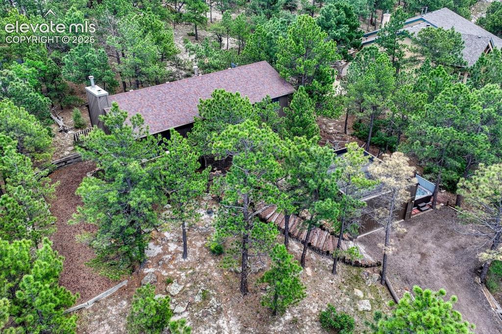 Image 43 of 48: Pine-covered property featuring a brown shingle roof, a prominent chimney,