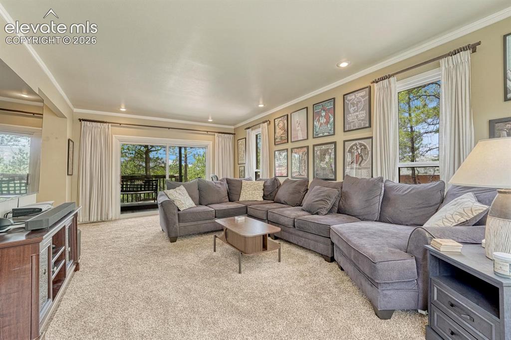 Image 5 of 48: Spacious living area featuring neutral carpeting, crown molding, and recess