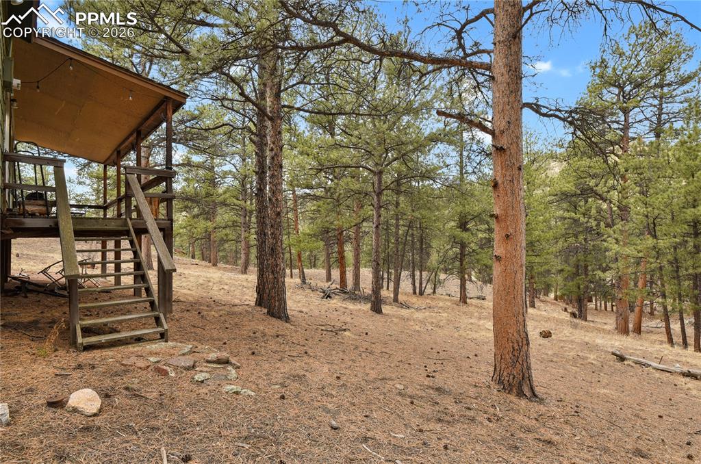 Image 29 of 48: Yard