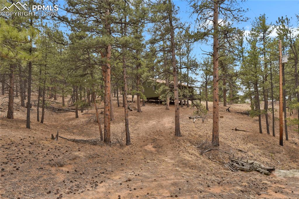 Image 32 of 48: Other