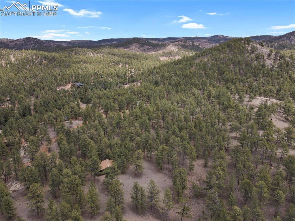 Image 36 of 48: corner of the property backing to National Park