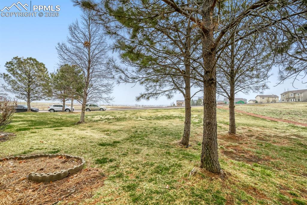 Image 24 of 27: Yard