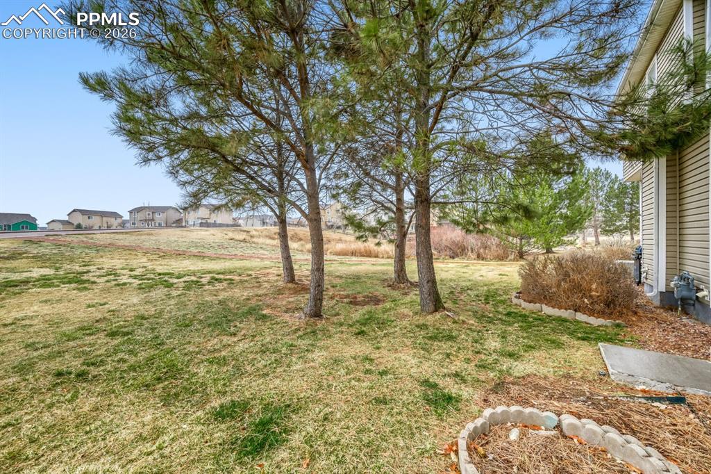 Image 25 of 27: Yard