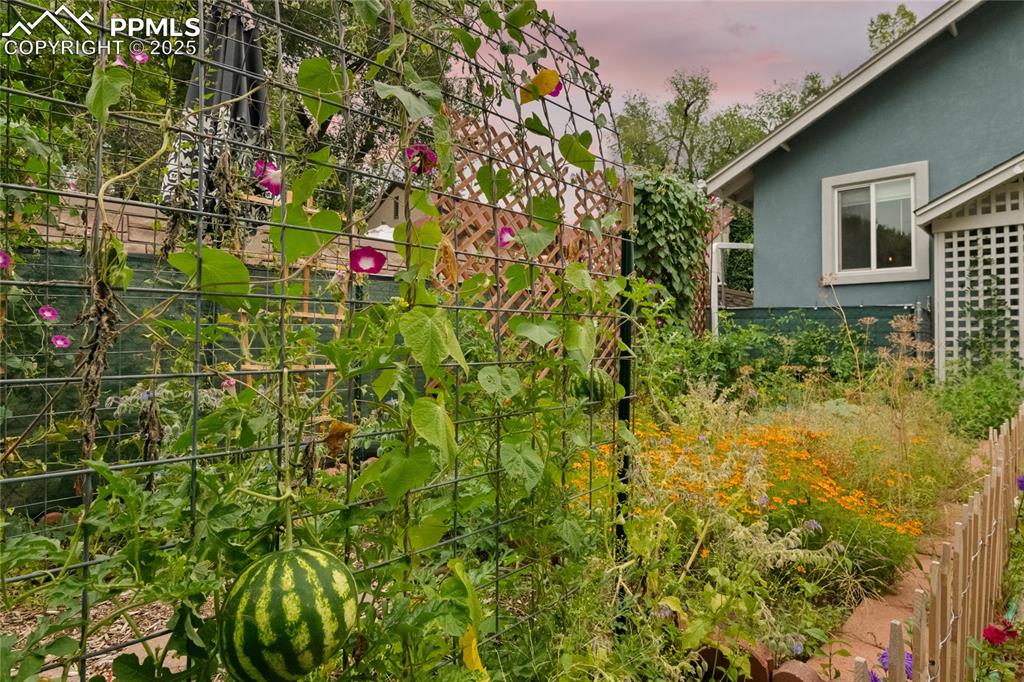 Image 29 of 43: Garden