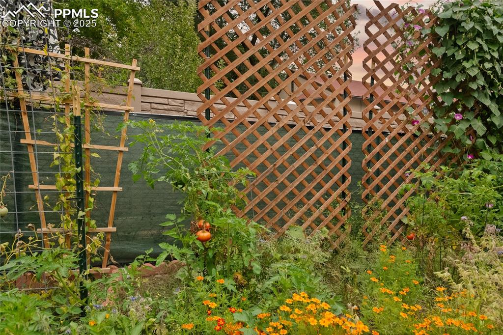 Image 30 of 43: Garden