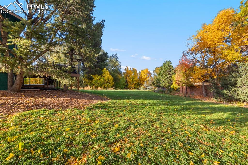 Image 36 of 48: Yard