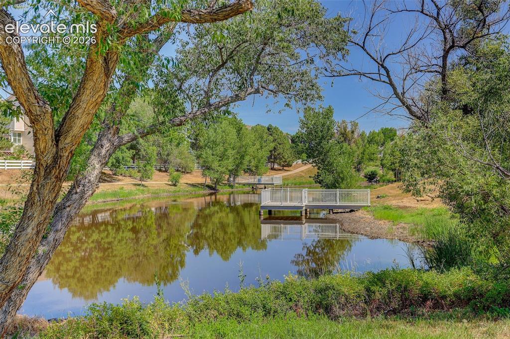 Image 42 of 42: Natural water feature with an elevated pier and surrounding mature trees