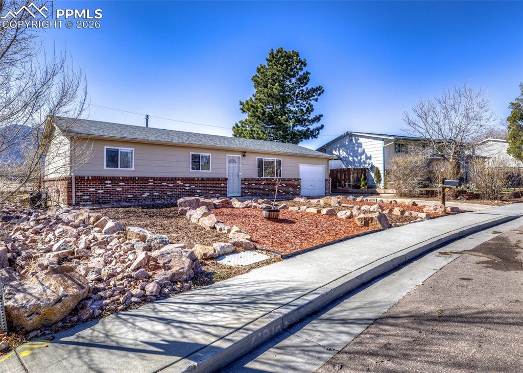 Image 2 of 39: Low Maintenance Landscape