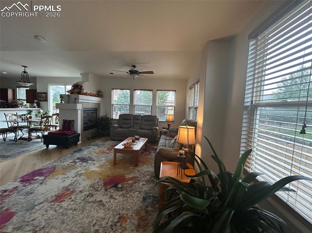 Image 4 of 30: Living Room