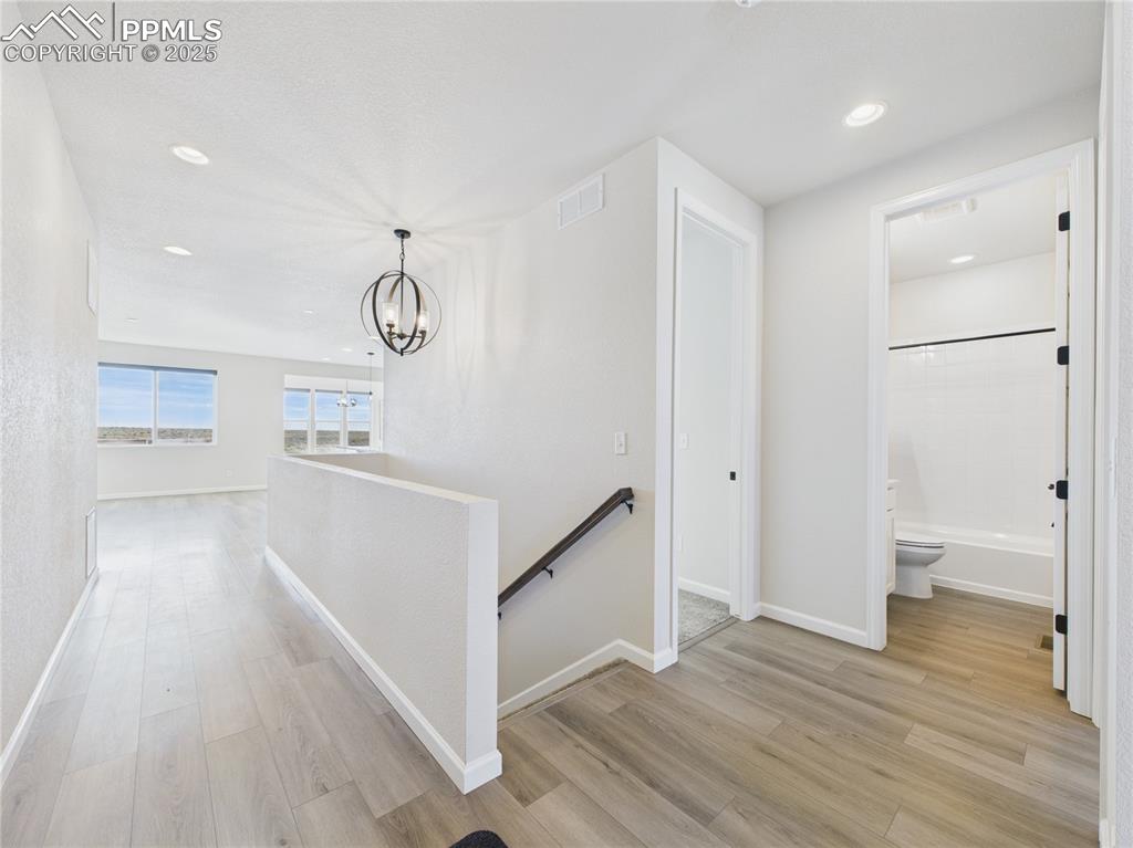 Image 5 of 48: Other