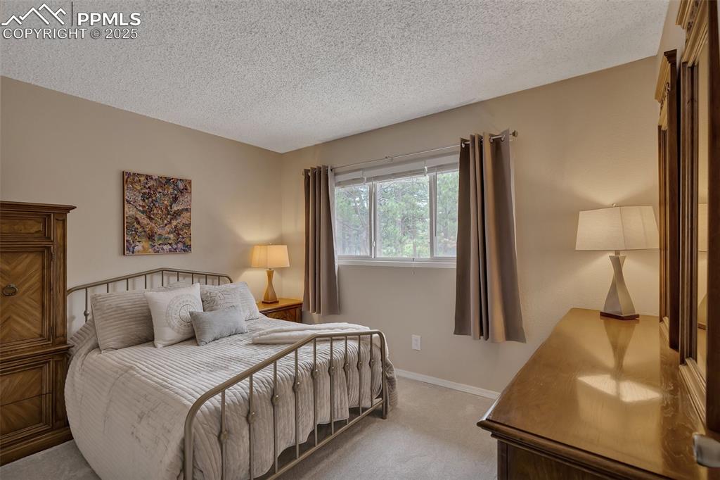 Image 21 of 41: Bedroom featuring carpet flooring and a textured ceiling