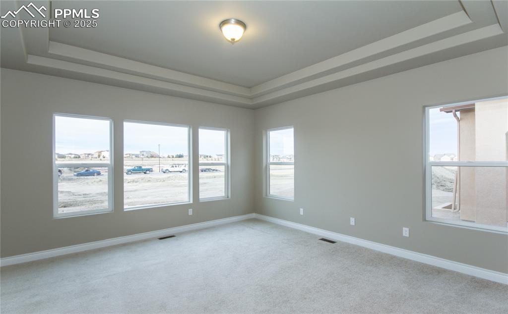 Image 17 of 28: Spare room with a tray ceiling, visible vents, baseboards, and light carpet