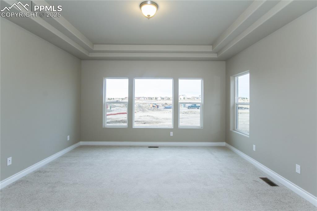 Image 21 of 28: Empty room with a raised ceiling, visible vents, baseboards, and light carp