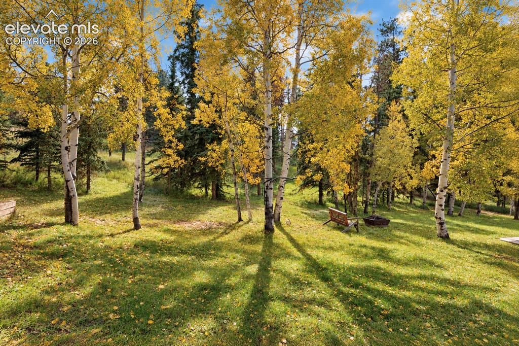 Image 28 of 30: Expansive green lawn with mature deciduous trees and evergreen trees